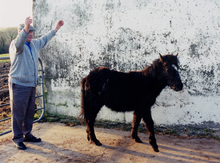 Tommy Bradfield and Horse.jpg 342.9K